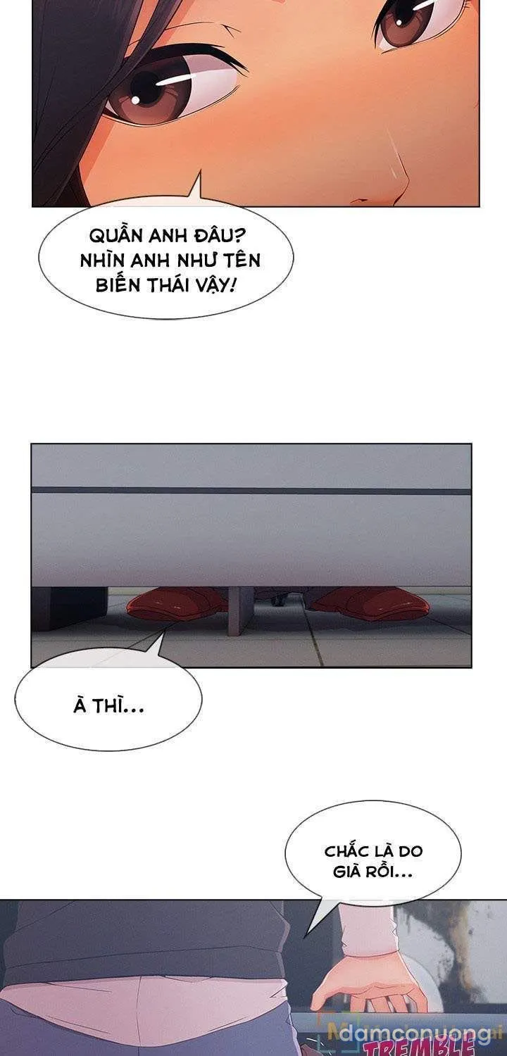 Quý Cô Chân Dài 