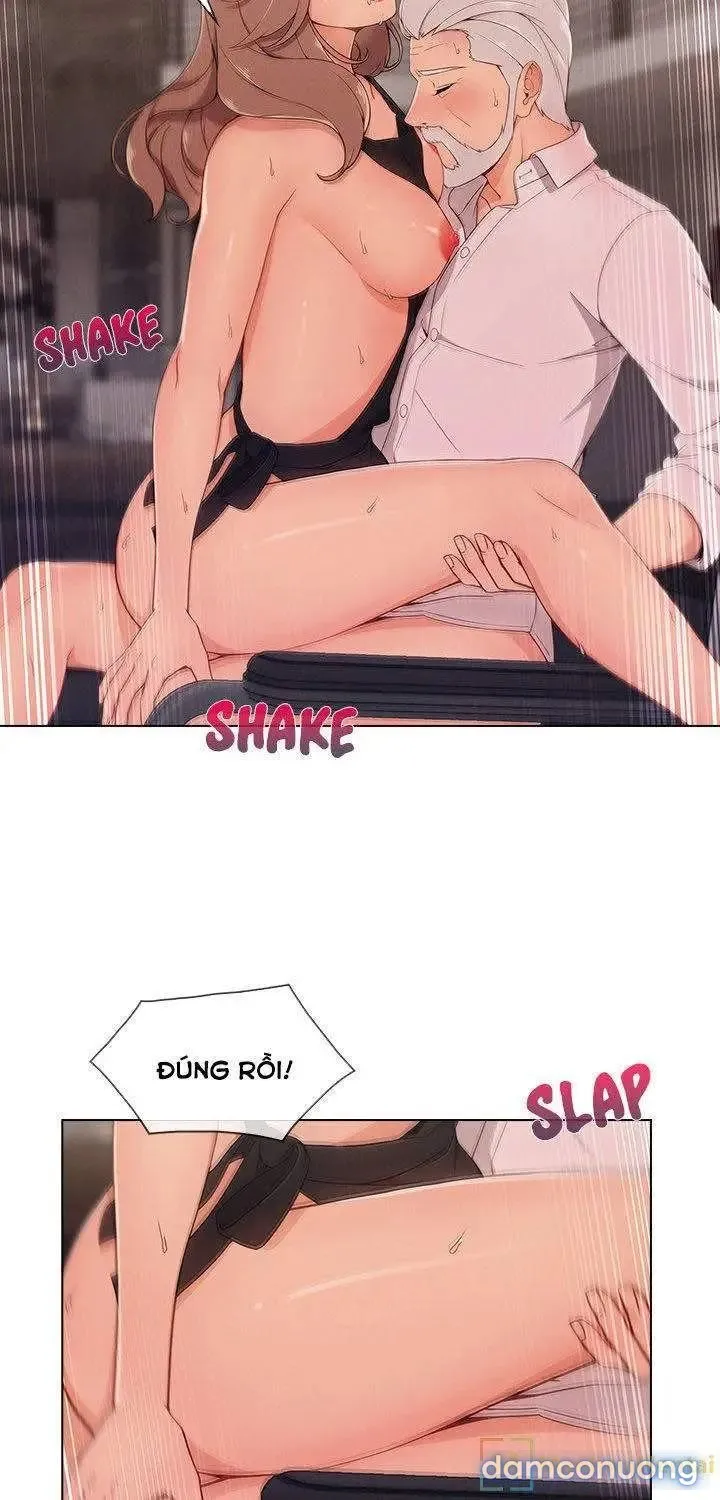 Quý Cô Chân Dài 