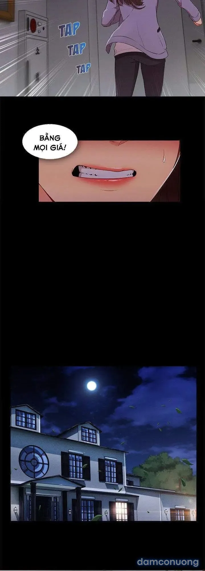 Quý Cô Chân Dài 