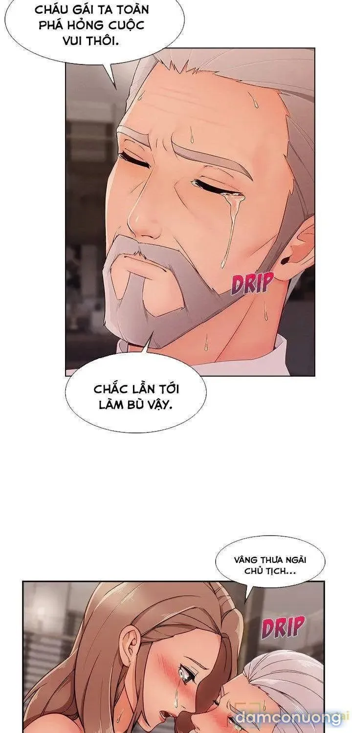 Quý Cô Chân Dài 