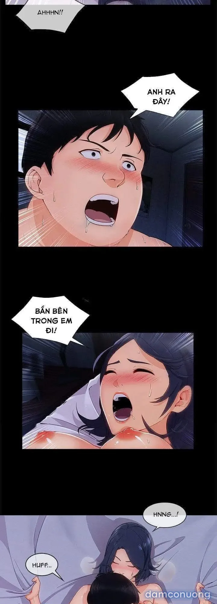 Quý Cô Chân Dài 