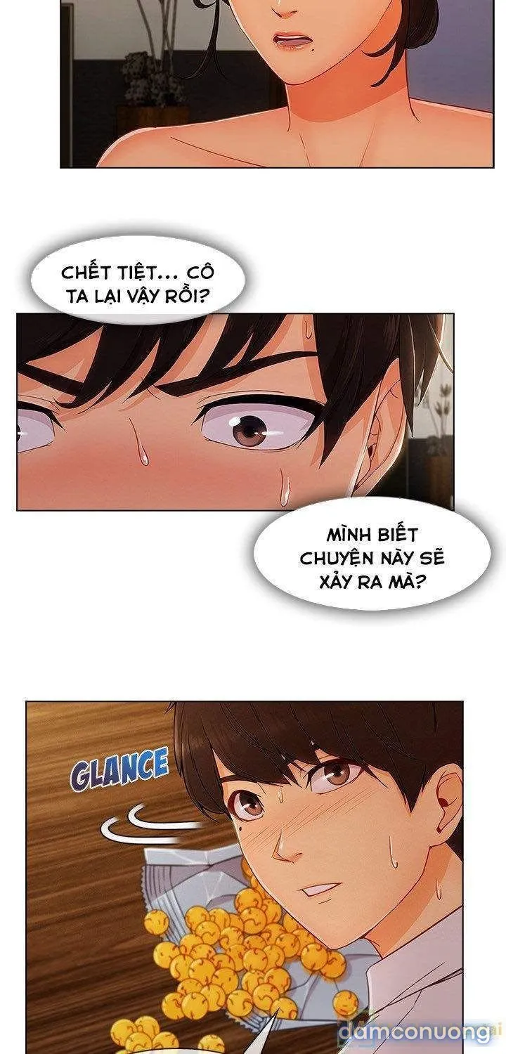Quý Cô Chân Dài 