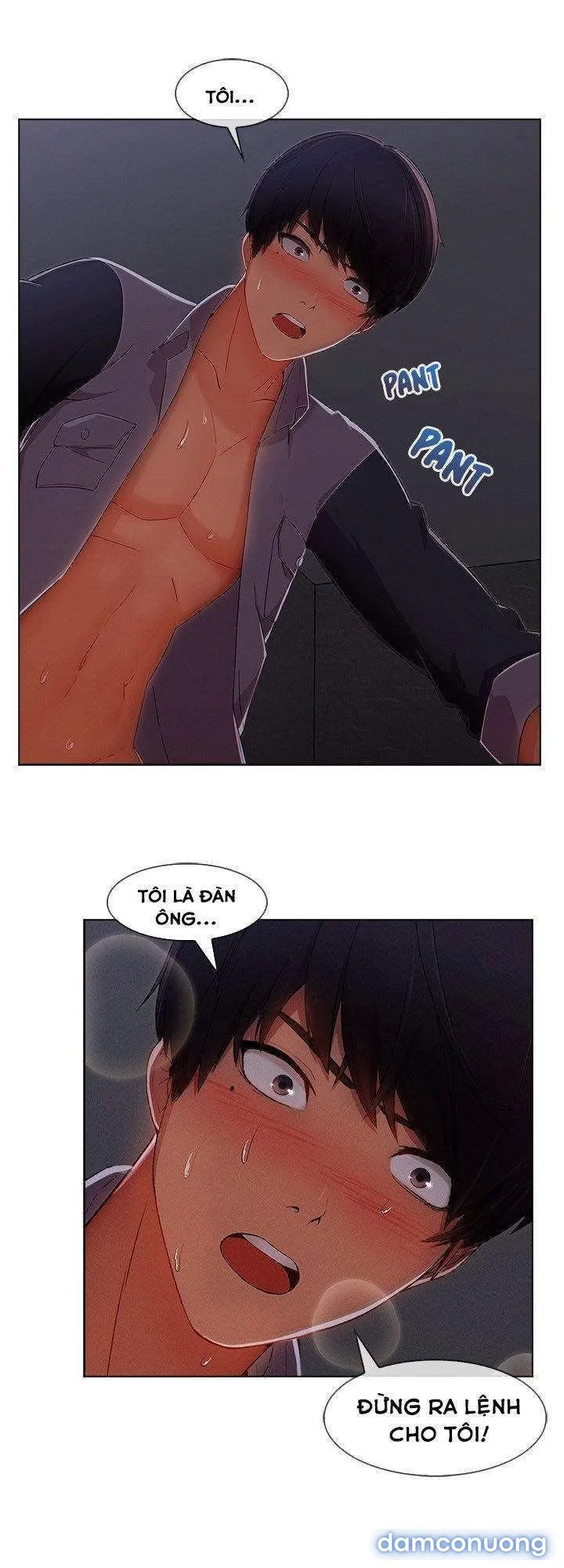 Quý Cô Chân Dài 