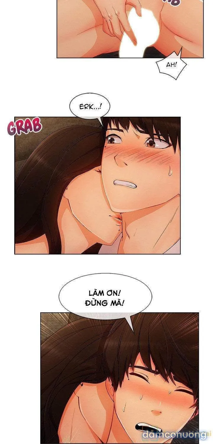 Quý Cô Chân Dài 