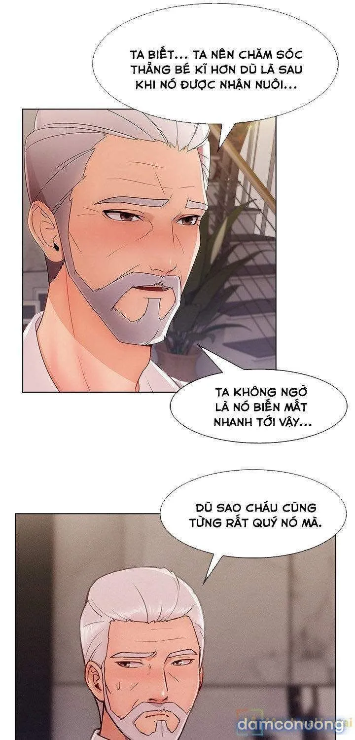Quý Cô Chân Dài 