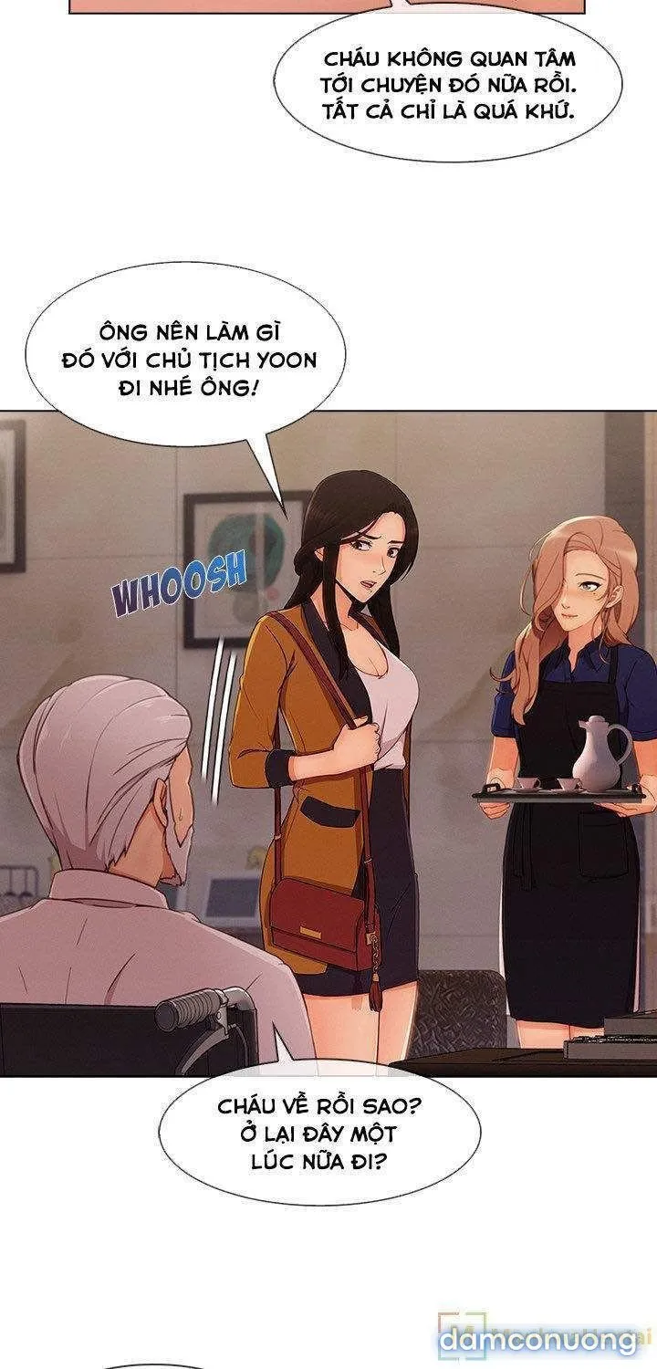 Quý Cô Chân Dài 