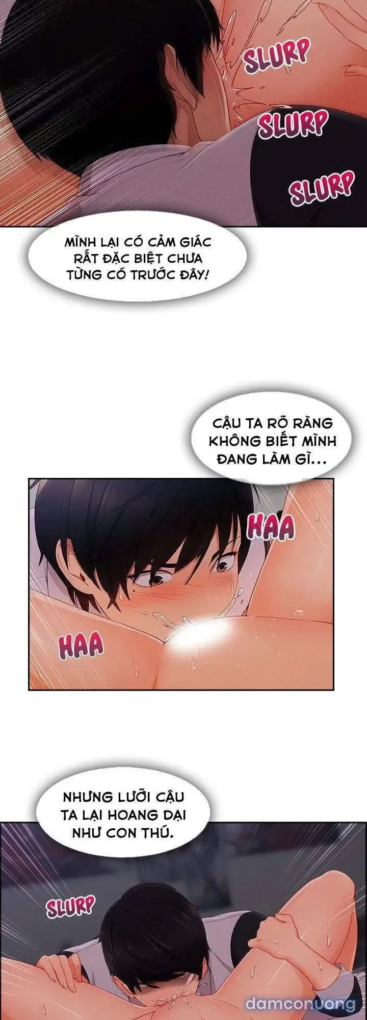 Quý Cô Chân Dài 