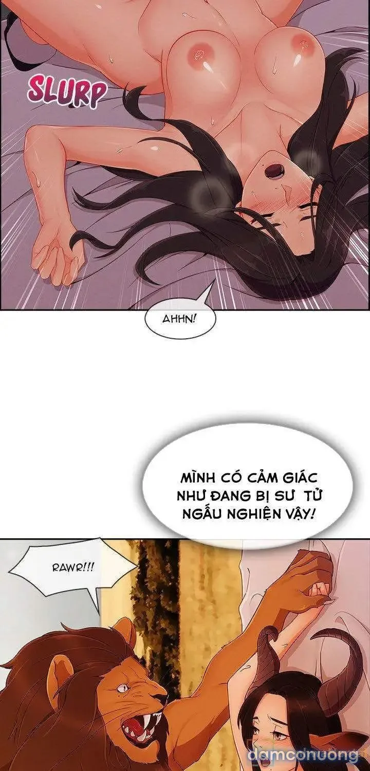 Quý Cô Chân Dài 
