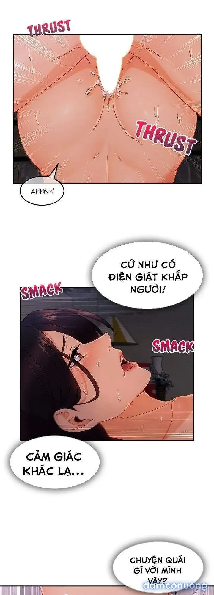 Quý Cô Chân Dài 