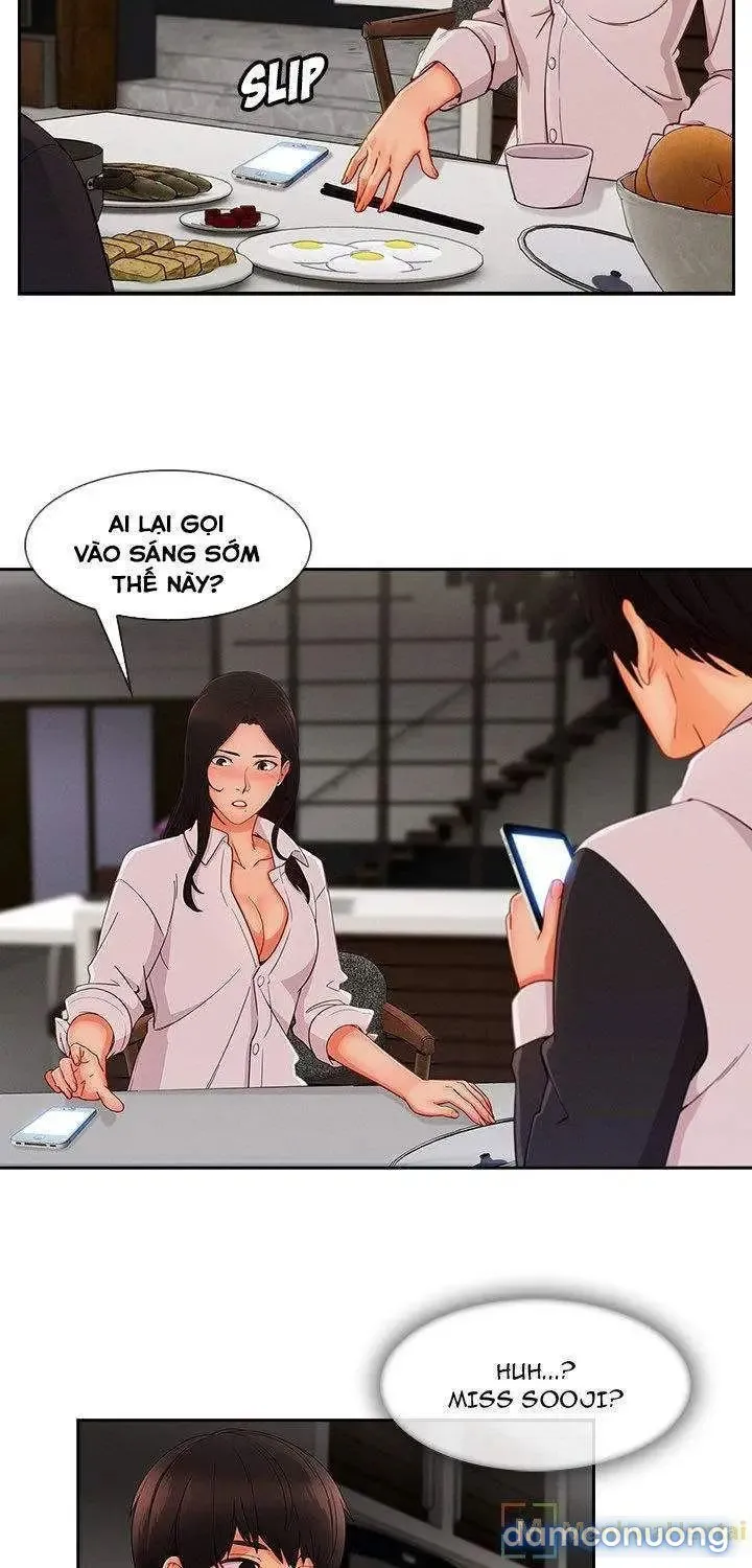 Quý Cô Chân Dài 