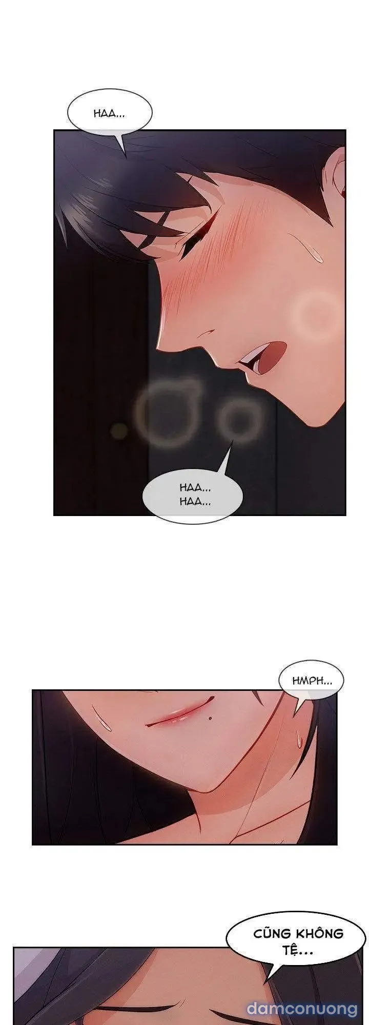 Quý Cô Chân Dài 