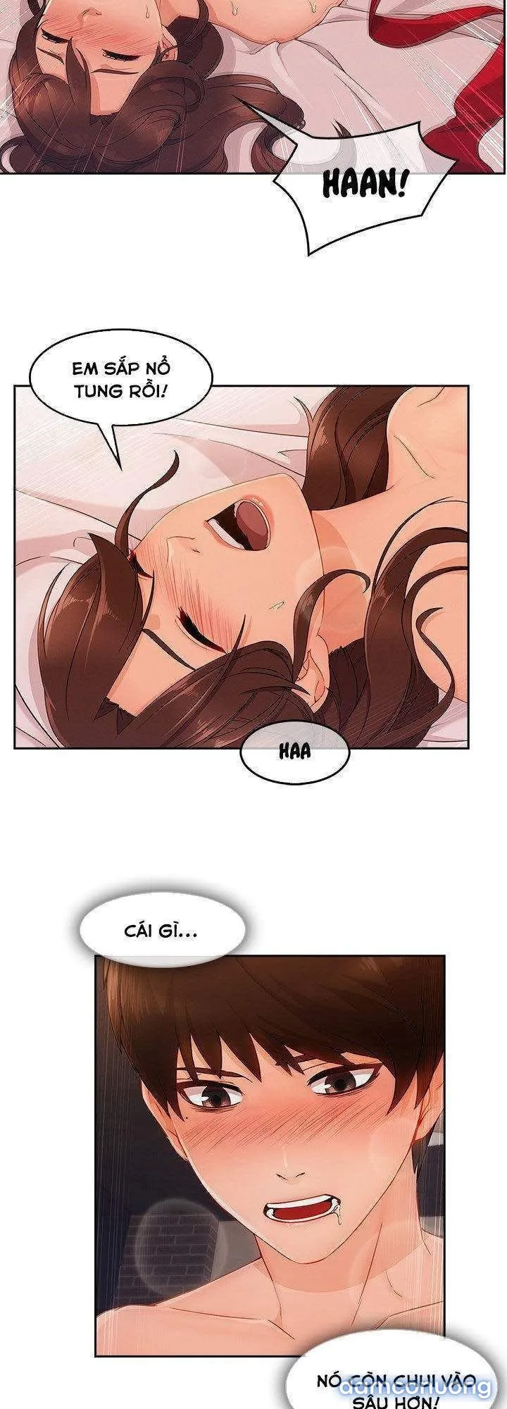 Quý Cô Chân Dài 