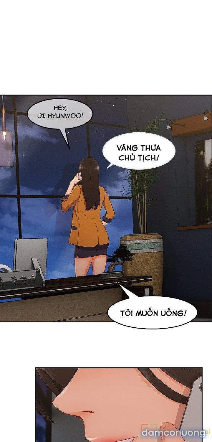Quý Cô Chân Dài 