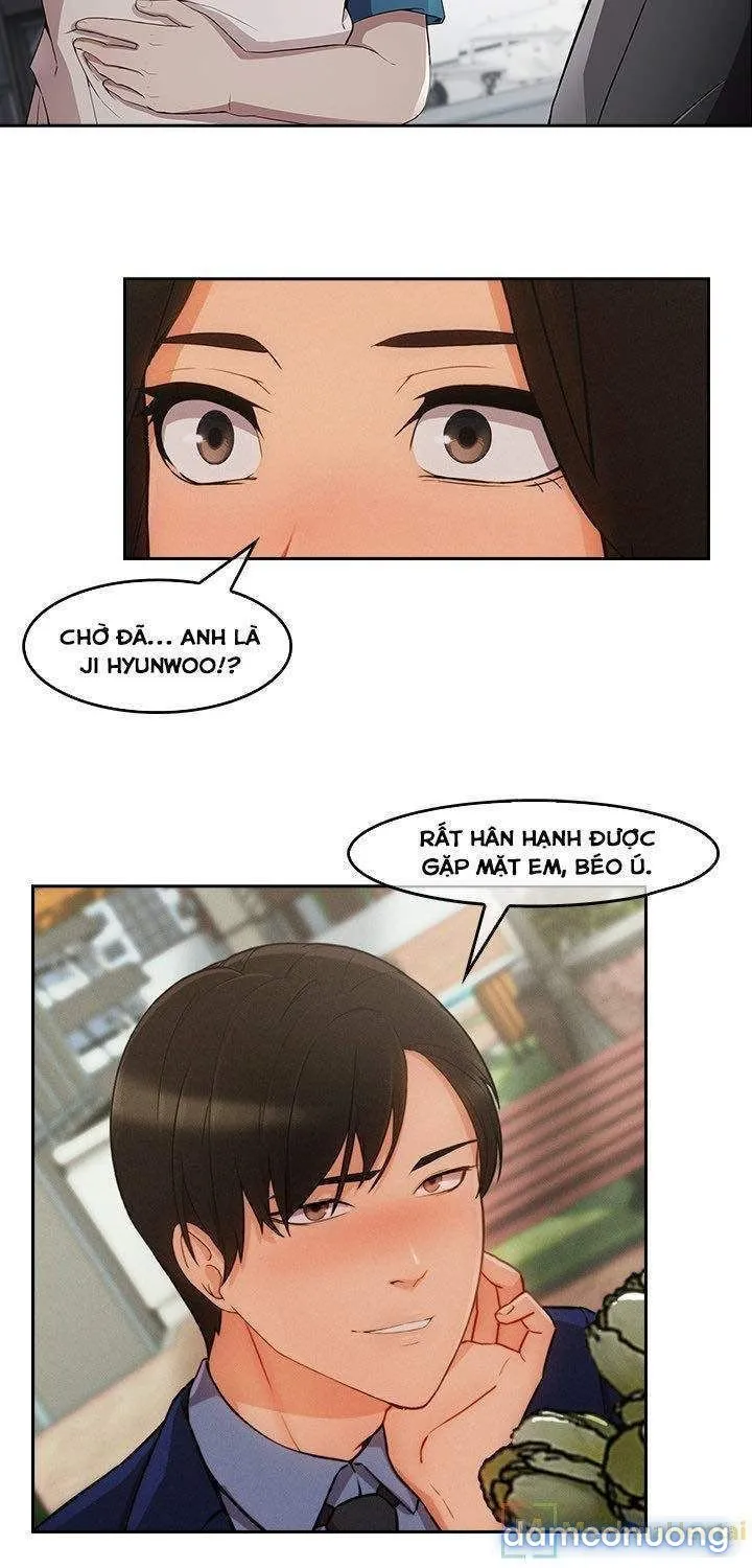 Quý Cô Chân Dài 