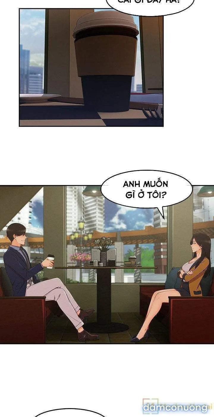 Quý Cô Chân Dài 