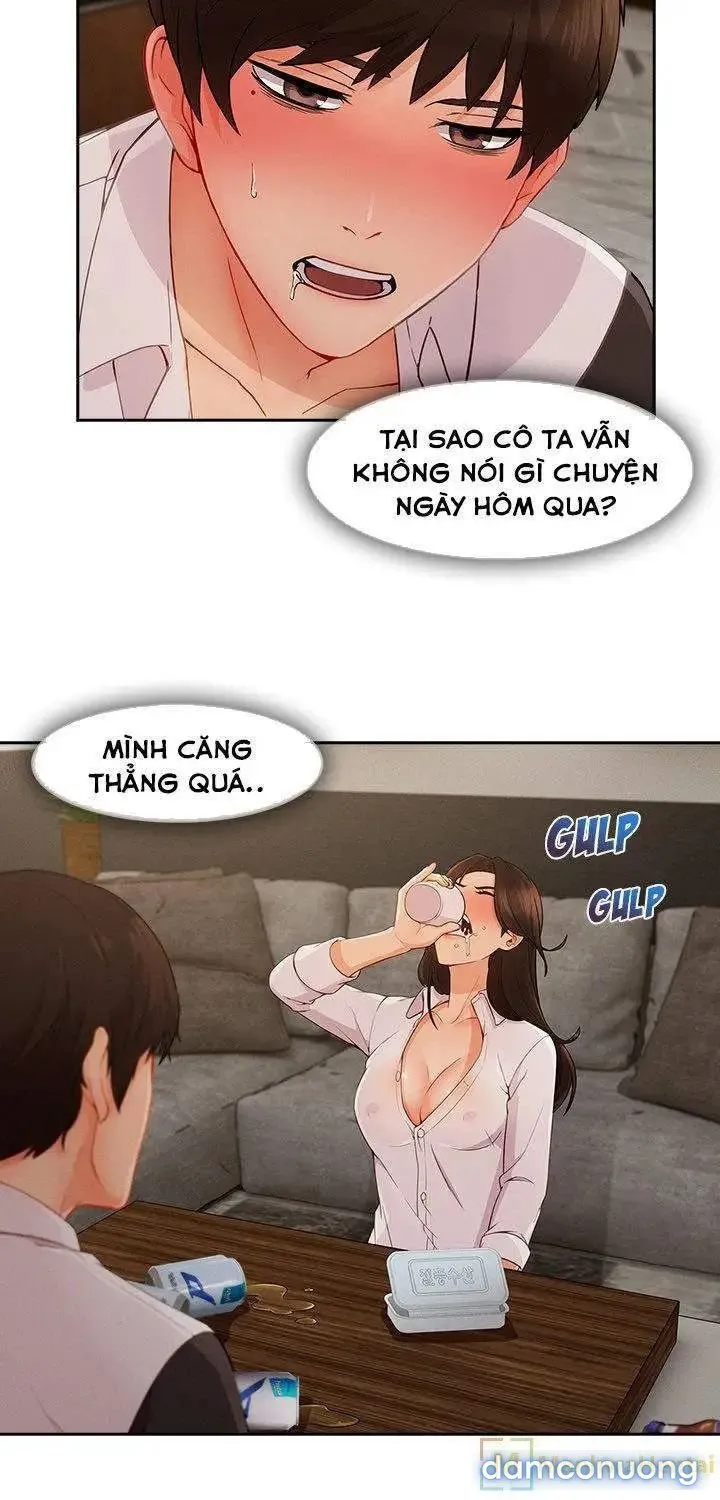 Quý Cô Chân Dài 