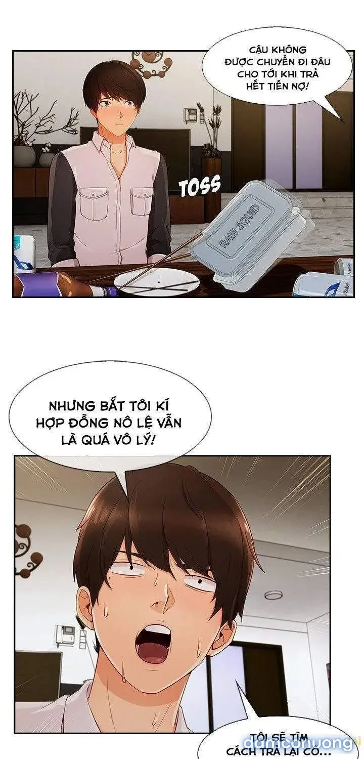 Quý Cô Chân Dài 