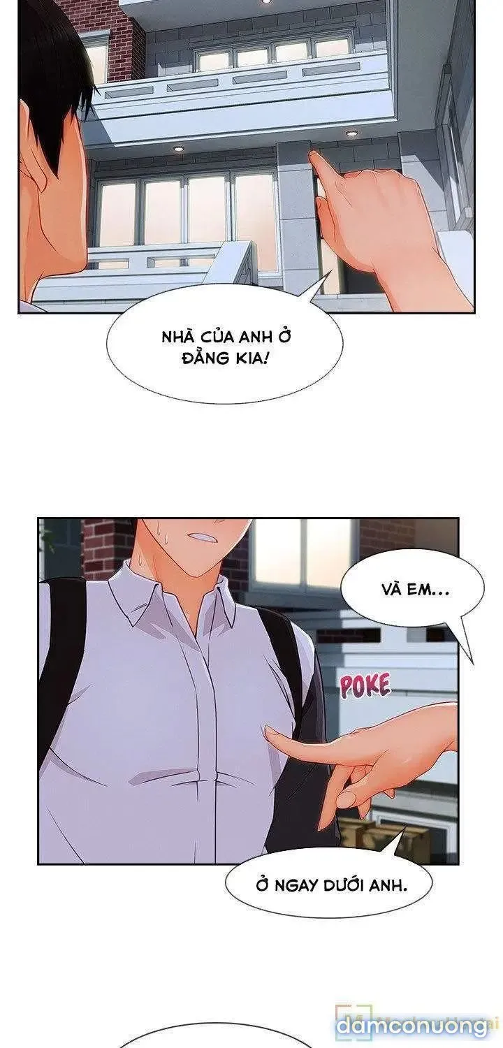Quý Cô Chân Dài 