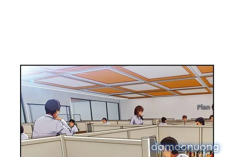 Quý Cô Chân Dài 