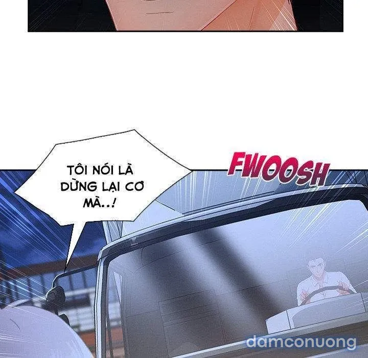 Quý Cô Chân Dài 