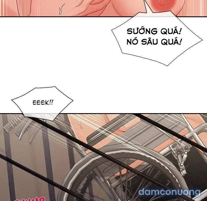 Quý Cô Chân Dài 