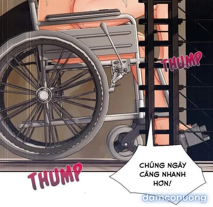 Quý Cô Chân Dài 
