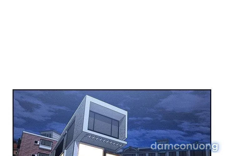 Quý Cô Chân Dài 