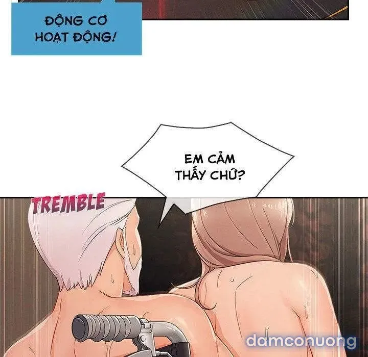 Quý Cô Chân Dài 