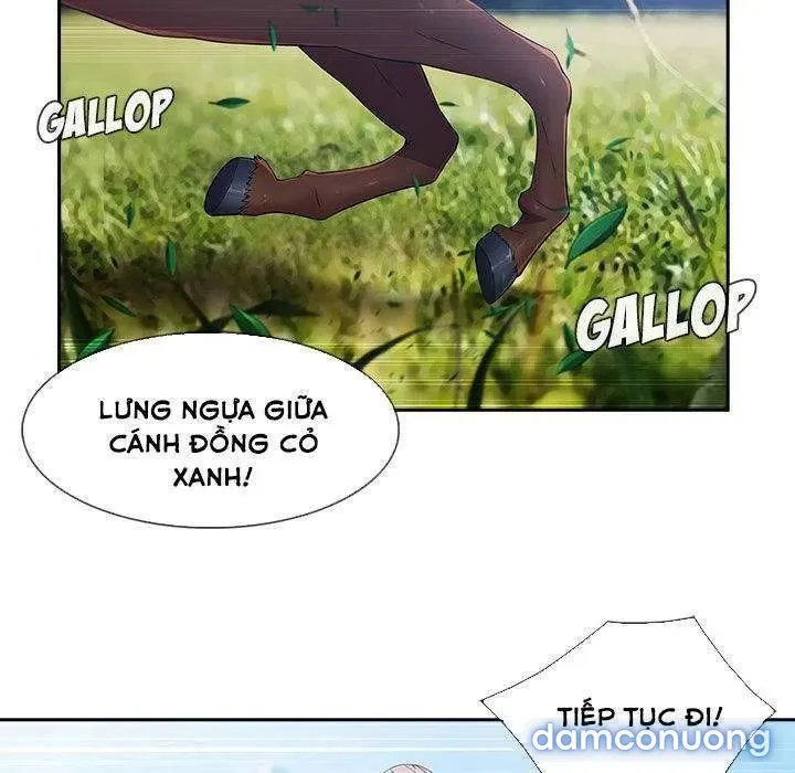 Quý Cô Chân Dài 