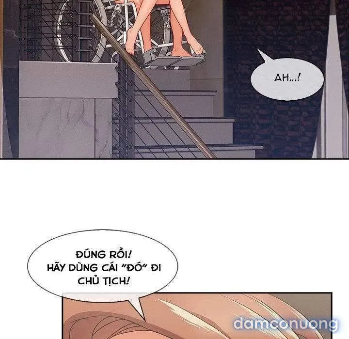 Quý Cô Chân Dài 
