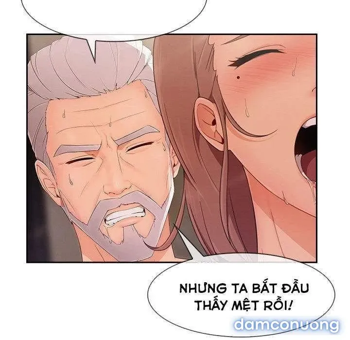 Quý Cô Chân Dài 