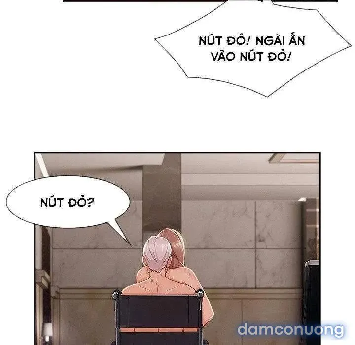 Quý Cô Chân Dài 
