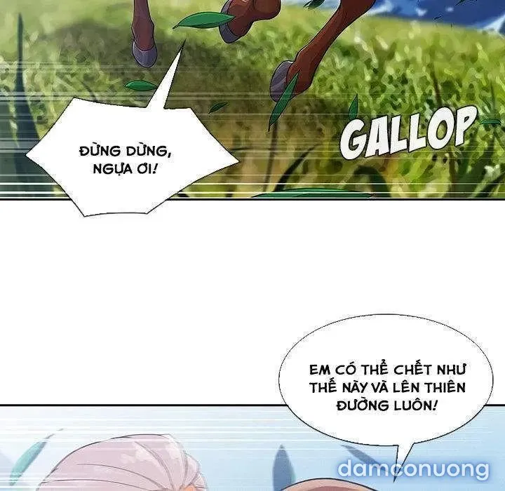 Quý Cô Chân Dài 
