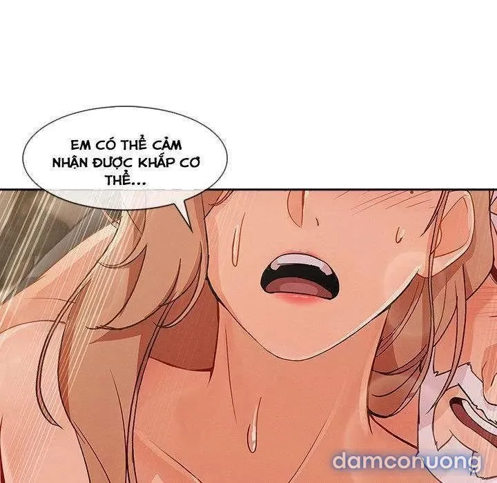 Quý Cô Chân Dài 