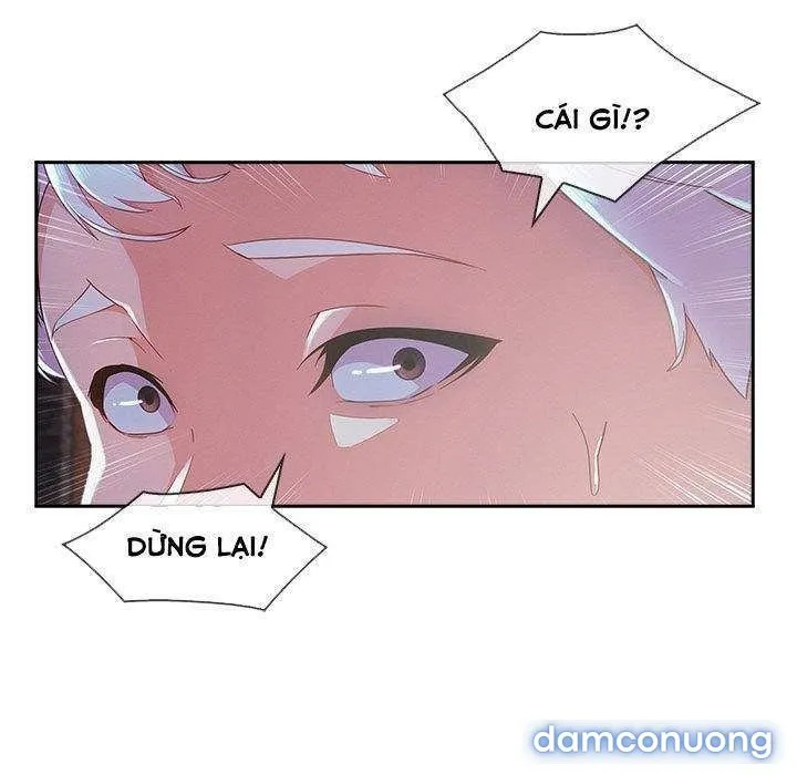 Quý Cô Chân Dài 