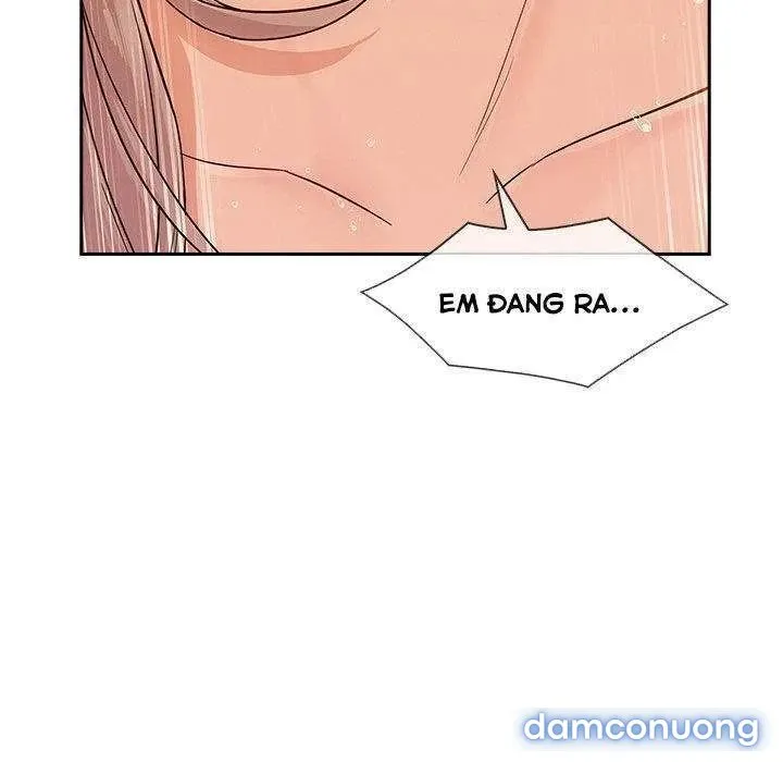 Quý Cô Chân Dài 