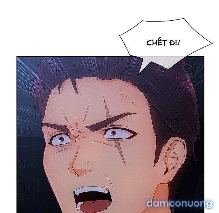 Quý Cô Chân Dài 