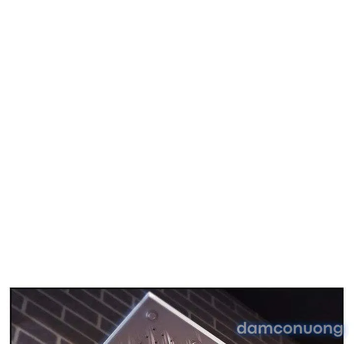 Quý Cô Chân Dài 