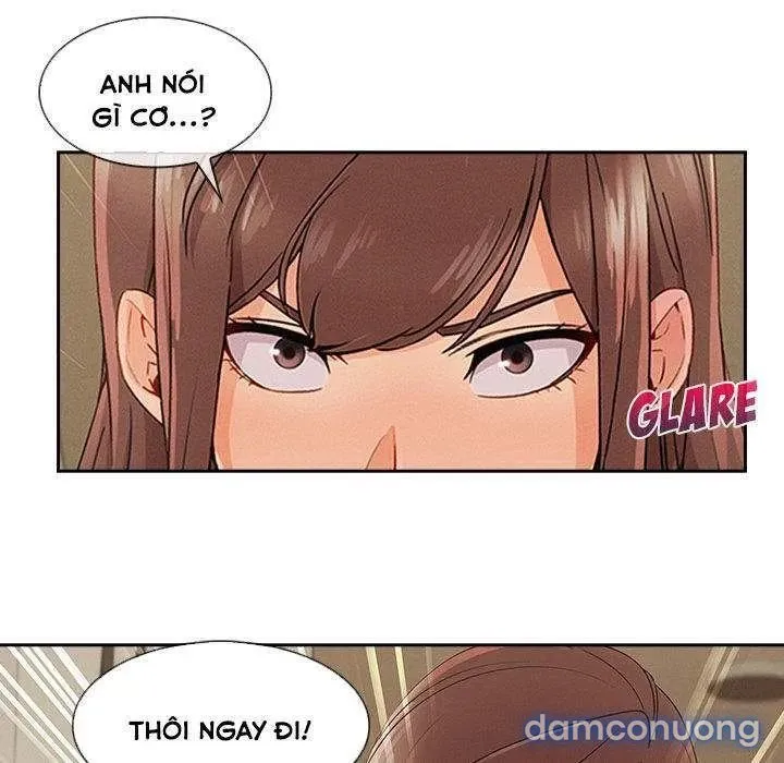 Quý Cô Chân Dài 