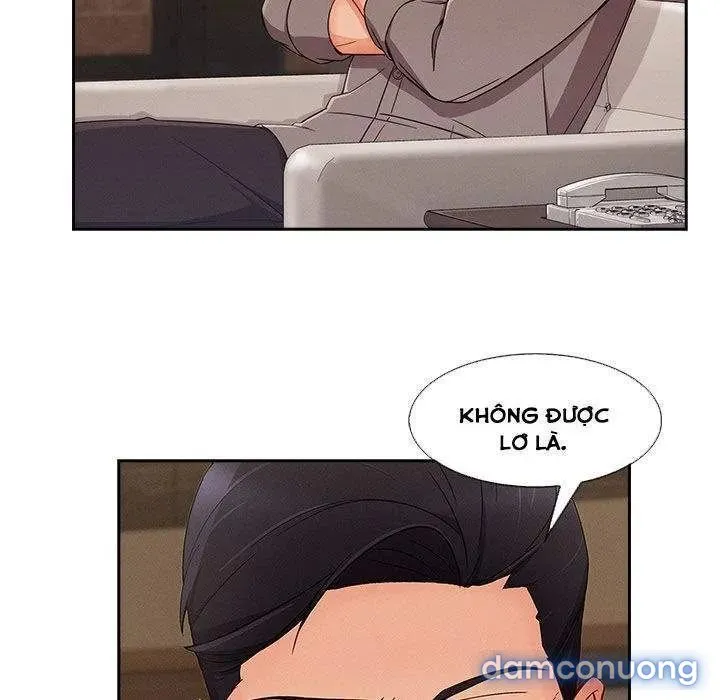 Quý Cô Chân Dài 