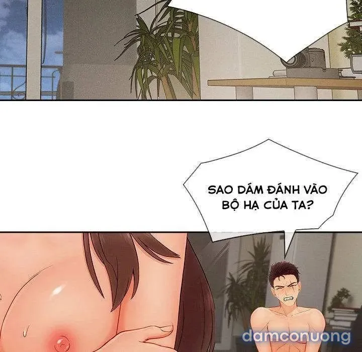 Quý Cô Chân Dài 