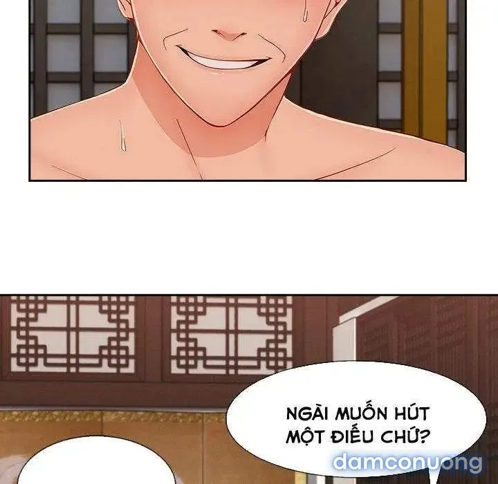 Quý Cô Chân Dài 