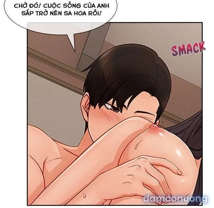 Quý Cô Chân Dài 