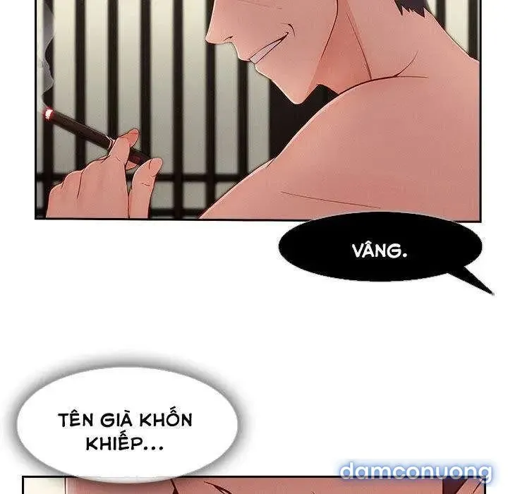 Quý Cô Chân Dài 