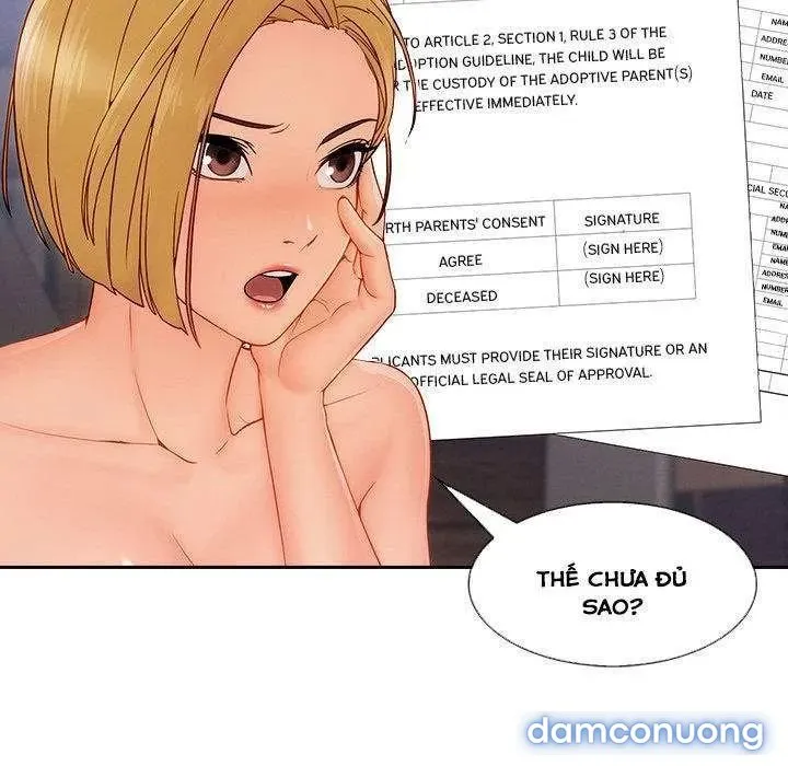 Quý Cô Chân Dài 