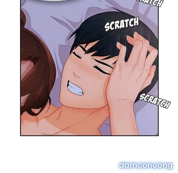 Quý Cô Chân Dài 
