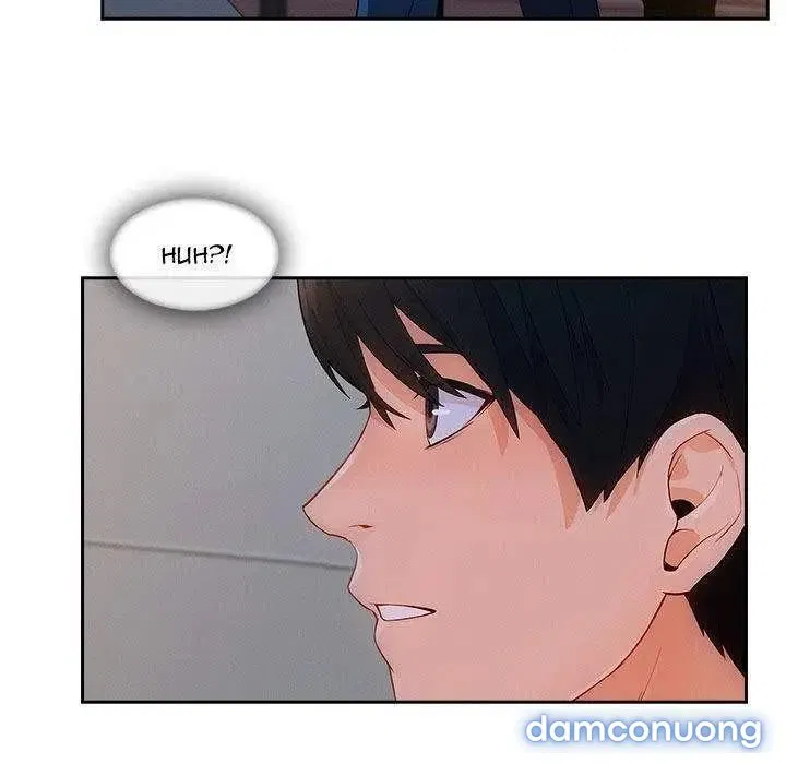Quý Cô Chân Dài 