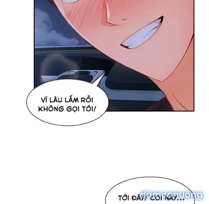 Quý Cô Chân Dài 
