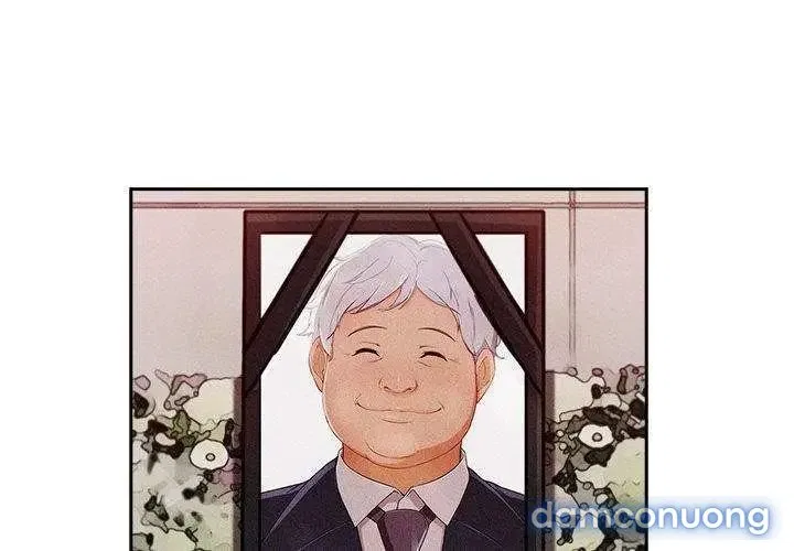 Quý Cô Chân Dài 