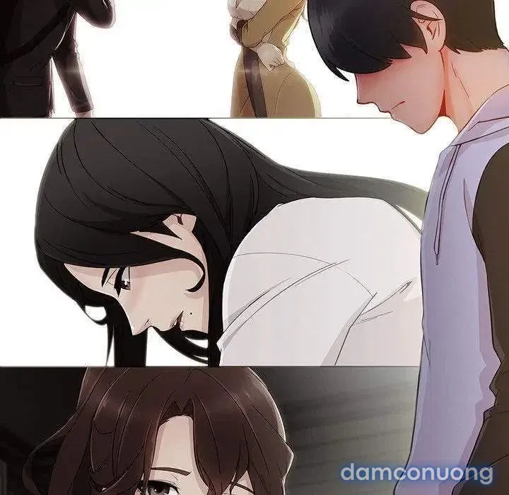 Quý Cô Chân Dài 